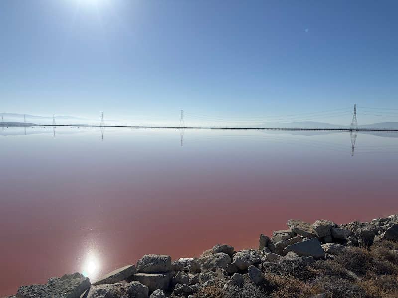 Alameda Salt Ponds - Image 1
