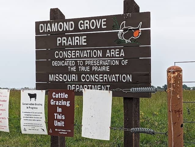 Diamond Grove Prairie Conservation Area - Image 2