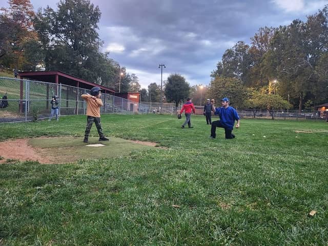 Baseball Park - Image 1