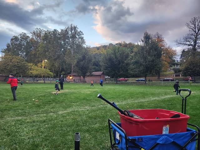 Baseball Park - Image 3