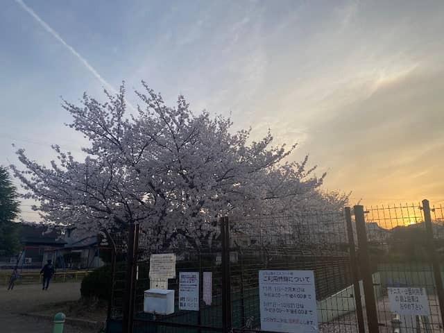 Tachibana Park - Image 1