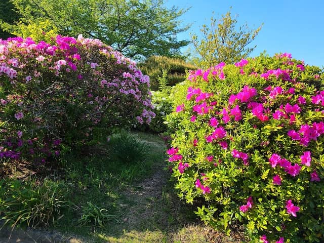Tachibana Park - Image 2