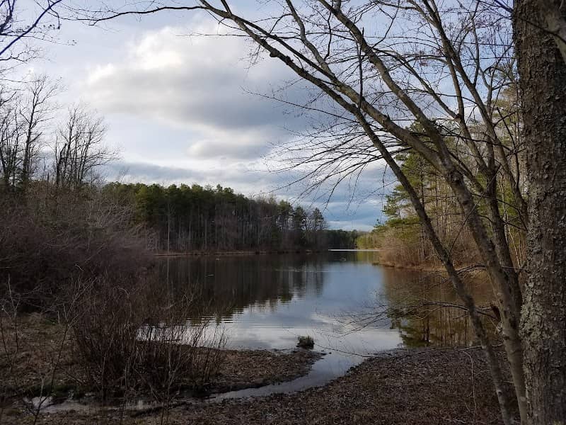 St Marys River Watershed Park - Image 2