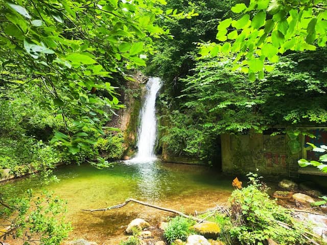 Scherlibachfall - Image 1
