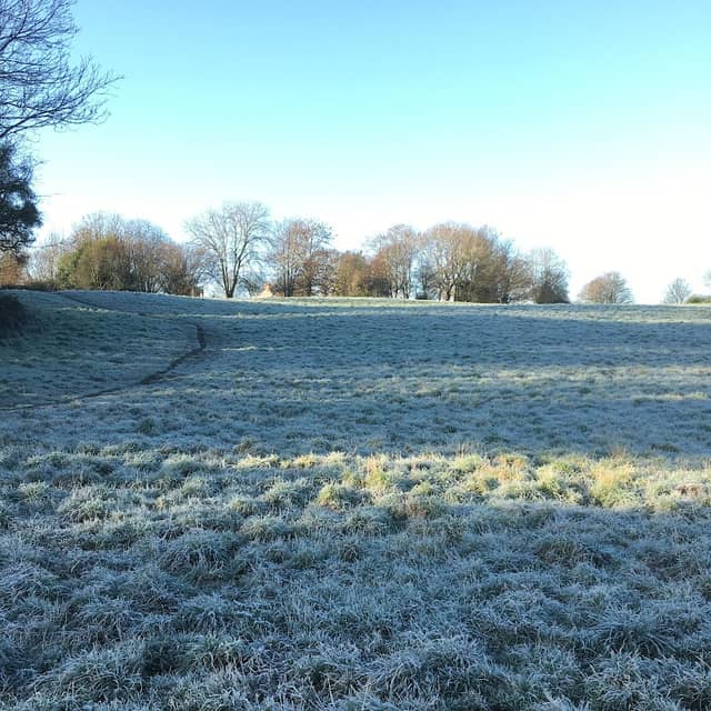 Caerwent Meadows - Image 1