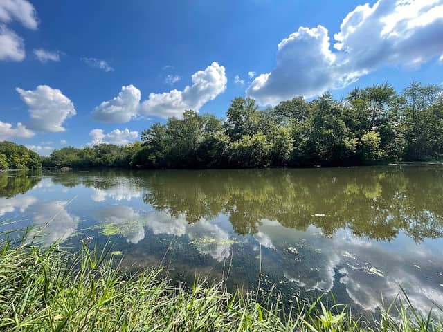 Fullersburg Woods Forest Preserve - Image 2