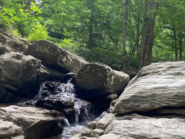 Dunwoody Nature Center - Image 2