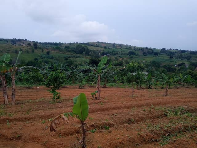 Agrowisata Rimbun Bersahabat - Image 1