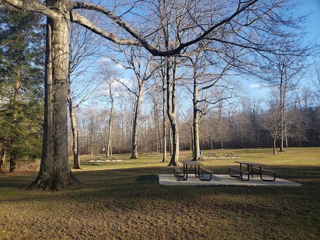 Shelterhouse Picnic Area - Image 1