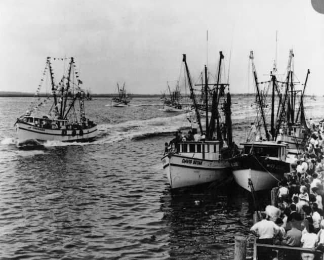 Amelia Island Museum of History - Image 3