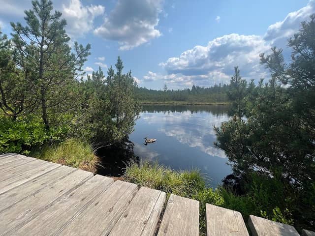 Latschensee - Image 1