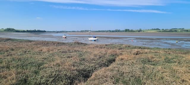 Hambleton Marsh - Image 2