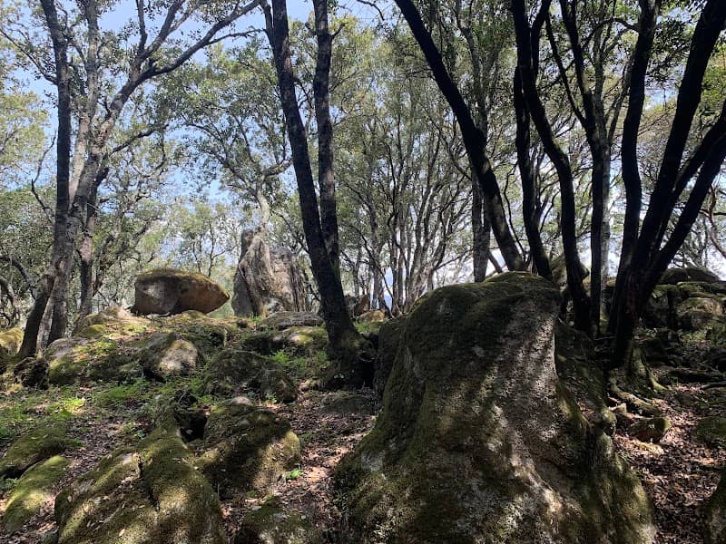 The Nature Park On olva - Image 2