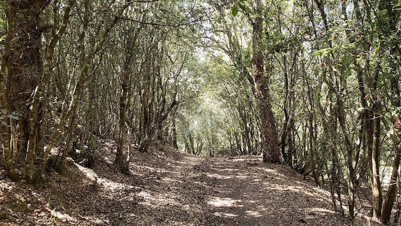 The Nature Park On olva - Image 1