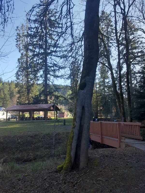 Glendale City Park - Image 1