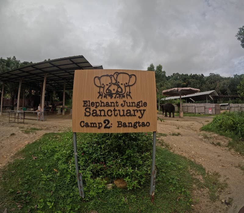 Elephant Jungle Sanctuary Phuket (Bang Tao Branch) - Image 1