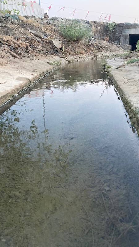 فلج السراه - Image 2