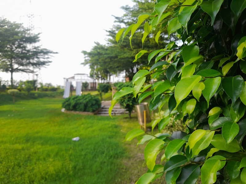 Ghauri Park - Image 1