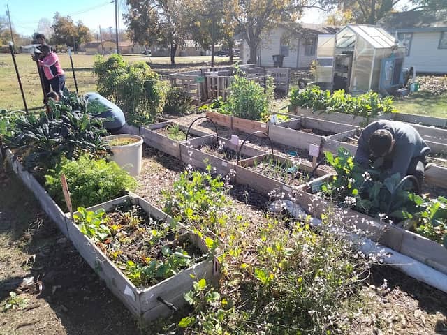 Bundrant Community Garden - Kelly's Garden - Image 1