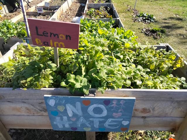 Bundrant Community Garden - Kelly's Garden - Image 2