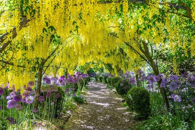 The Dorothy Clive Garden - Image 1
