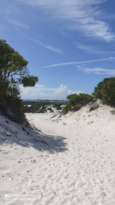 Dunas de santo Antônio - Image 1