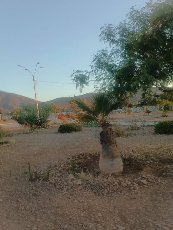 Plaza de Huachalalume - Image 2