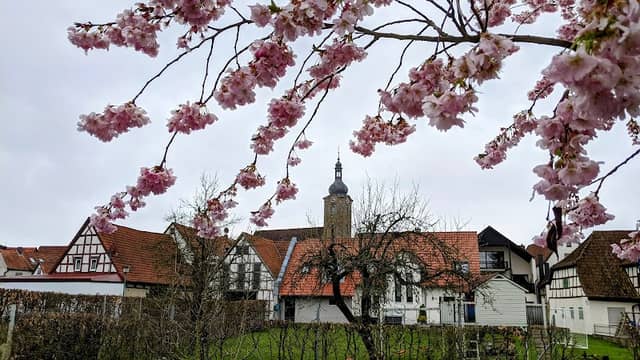 Friedrich-Rückert-Anlage - Image 1