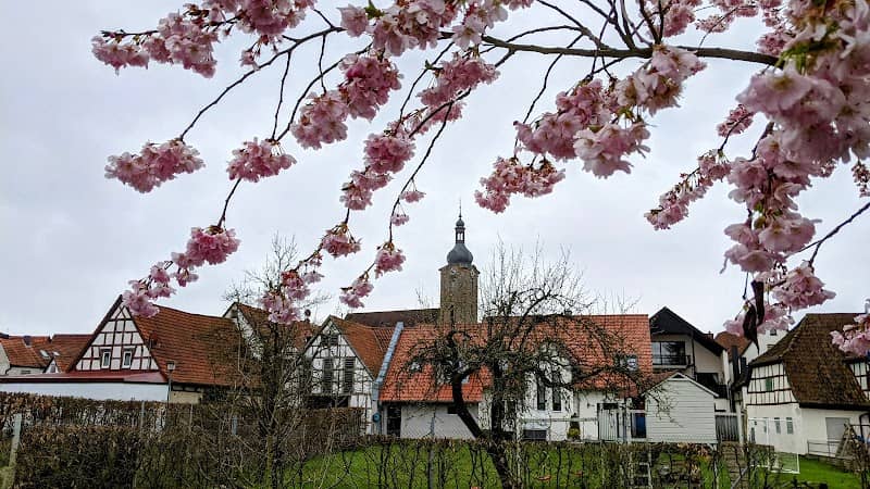 Friedrich-Rückert-Anlage - Image 1