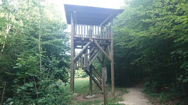 Hochsitz, Aussichtsplattform - Image 1