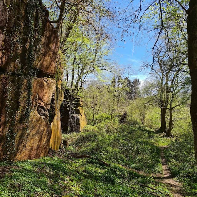 Steinbruch bei der Klamm (Schätzels Steinbruch) - Image 1
