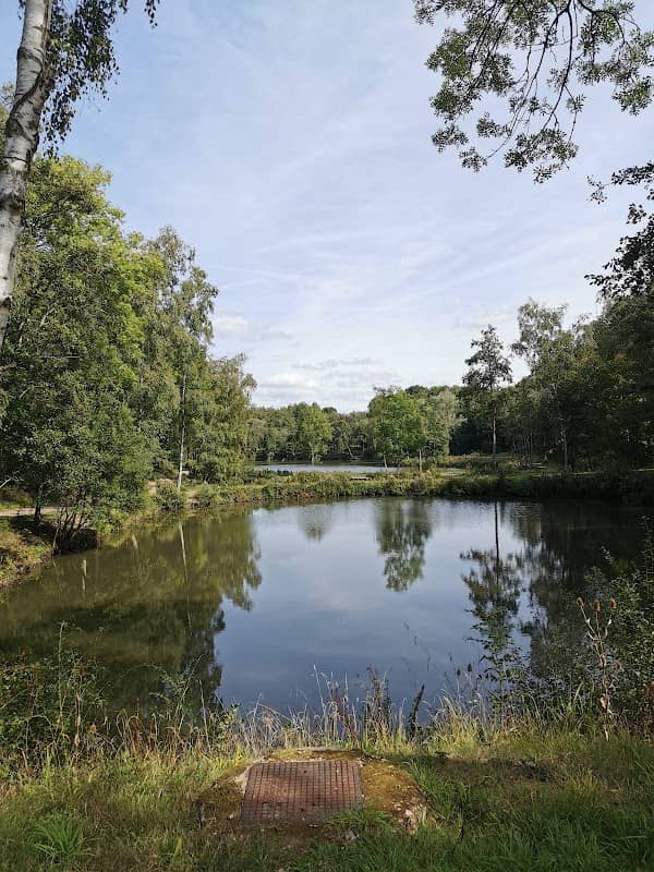 Paices Wood Country Park - Image 2