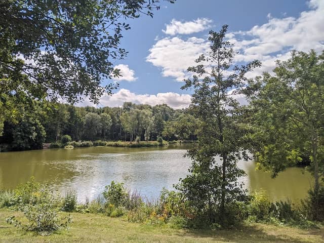 Paices Wood Country Park - Image 1
