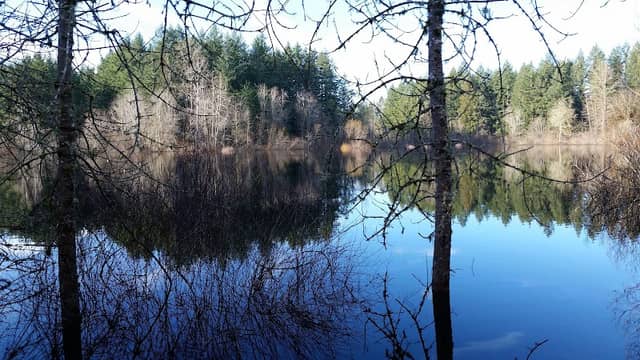 Grass Lake Nature Park - Image 1