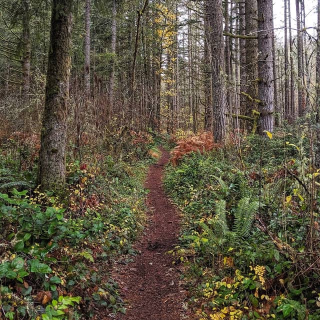 Grass Lake Nature Park - Image 3