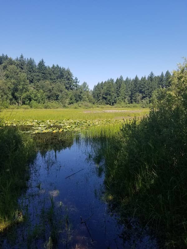 Grass Lake Nature Park - Image 2