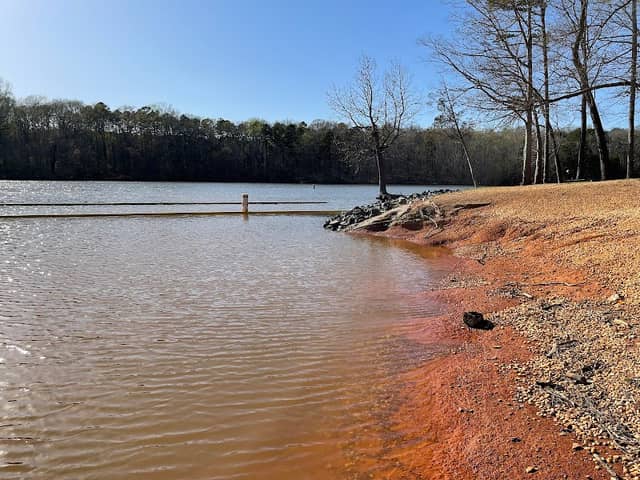 Buddle Creek Swim Area - Image 1