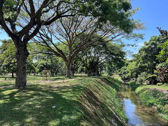Sungai Ara Neighbourhood Park - Image 1
