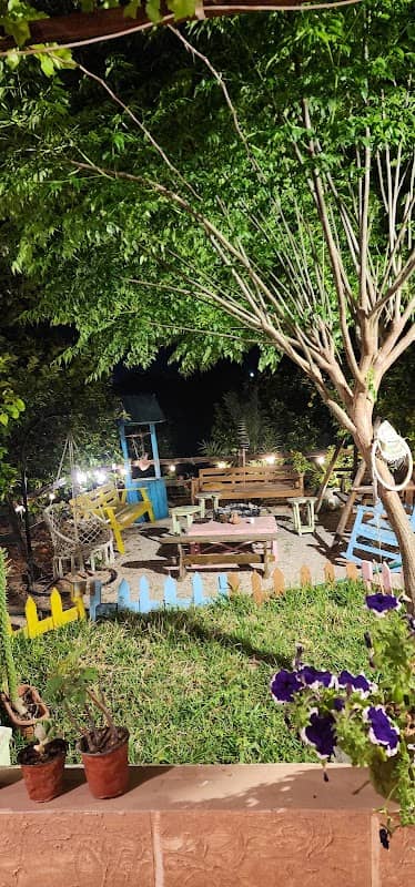 Ajami's Garden - Image 1