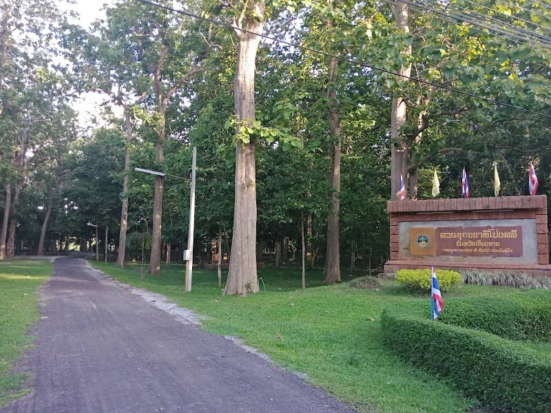 Pong Sali Arboretum - Image 1