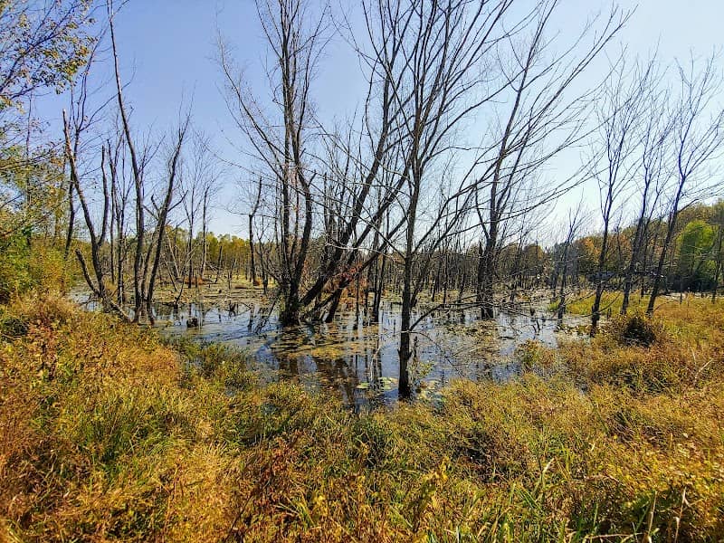 Wilson Springs Nature Preserve - Image 1