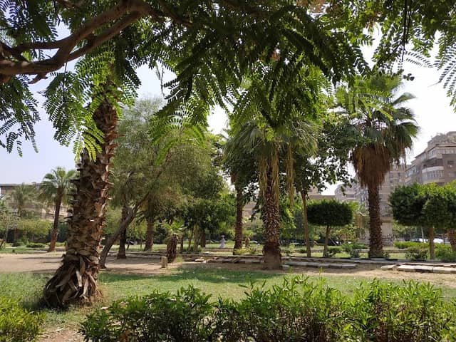 Maurice Park حديقة موريس - Image 1