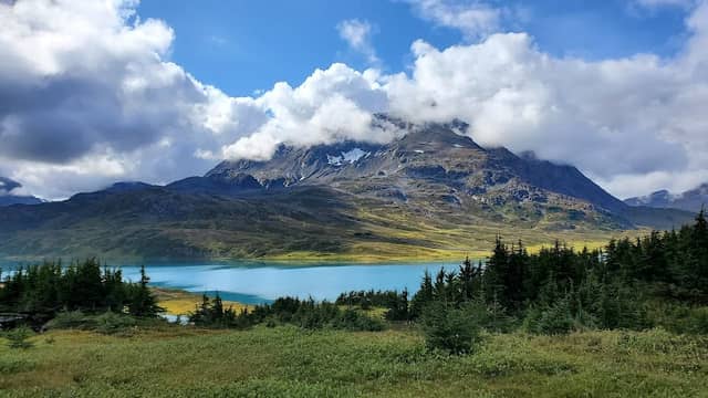 Primrose Trail - Image 2