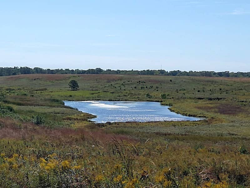Lake in the Hills Fen Conservation Area - Image 1