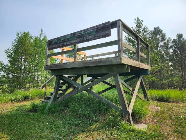 Leoppky Park Interpretive Forest Lookout - Image 1