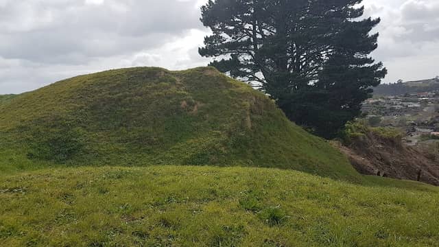 Te Auhi Reserve - Image 2