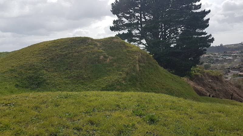 Te Auhi Reserve - Image 2