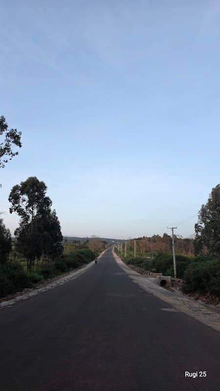 Ndeiya Classic (BG) - Image 1