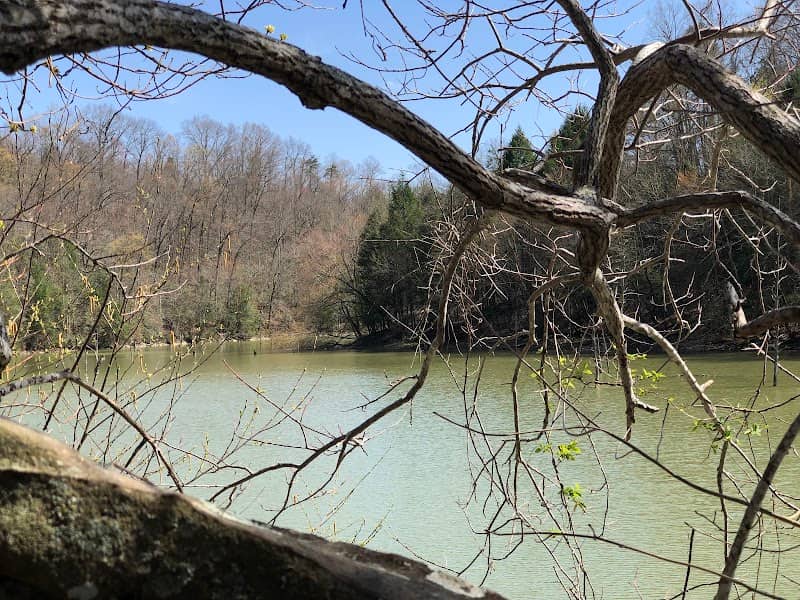 Laurel River at Municipal Dam - Image 1