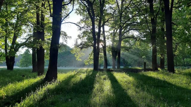 Park Bažantnice - Image 1